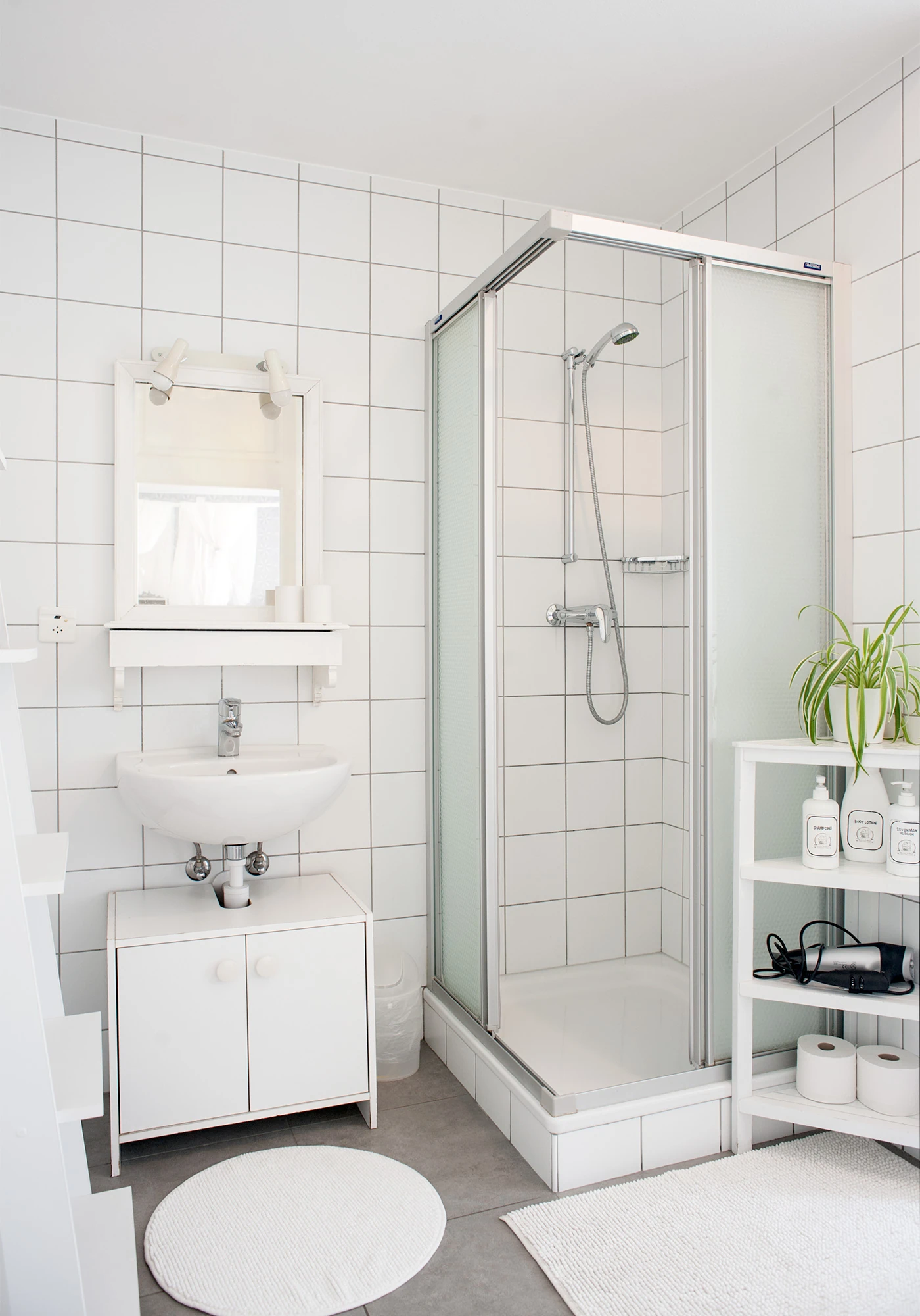 La douche et les WC de Zen