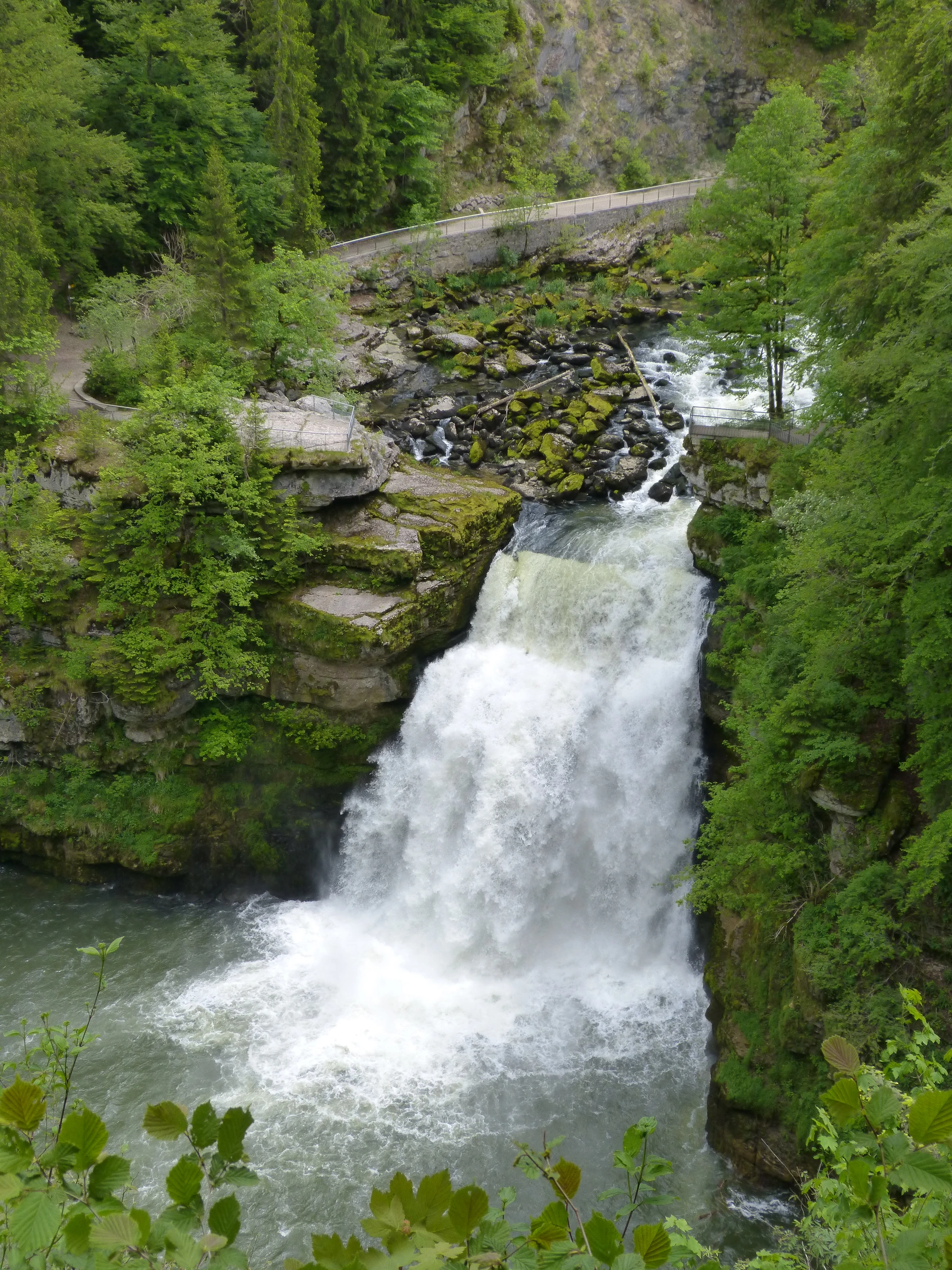 La cascade du Saut du Doubs vue depuis la France, entourée de forêt